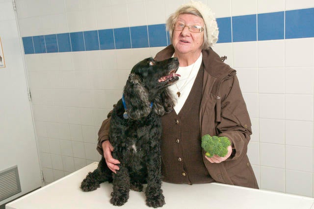 027_AFTER Nyah is given small amounts of broccoli instead of treats when she feels peckish.jpg 