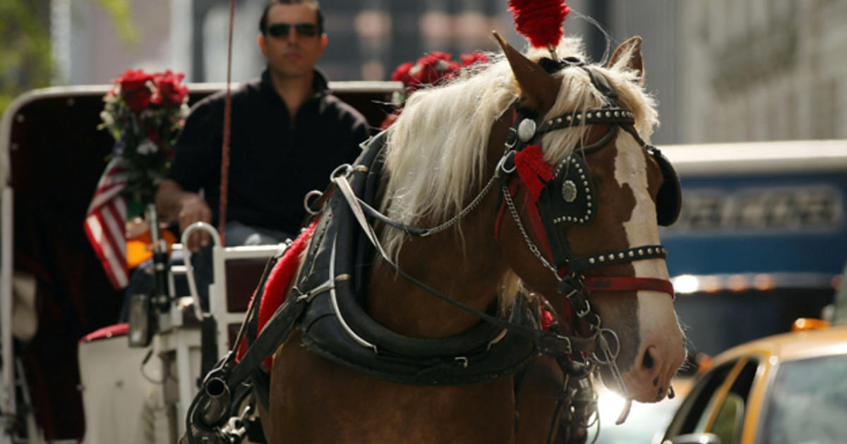 Horse Carriage Ban in New York? De Blasio Wants to Try Again