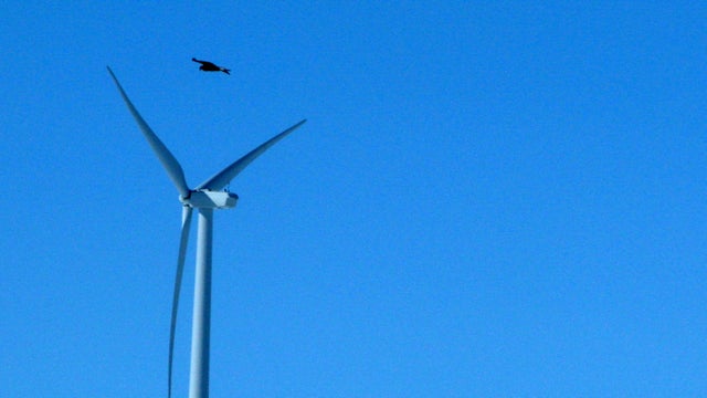 AP886163921578.jpg 
