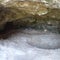 Neanderthals and humans co-existed in Europe for around 2,000 years, study finds