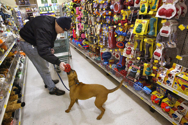 Petsmart Stores Show High Earnings 