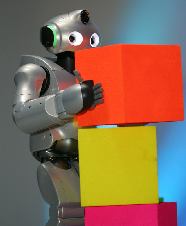 CR-Bot-X2: o professor robot!