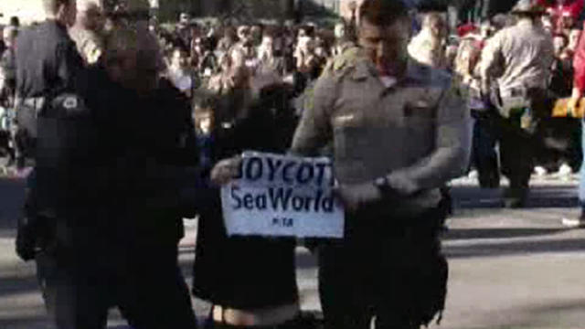 sea-world-protest.jpg 