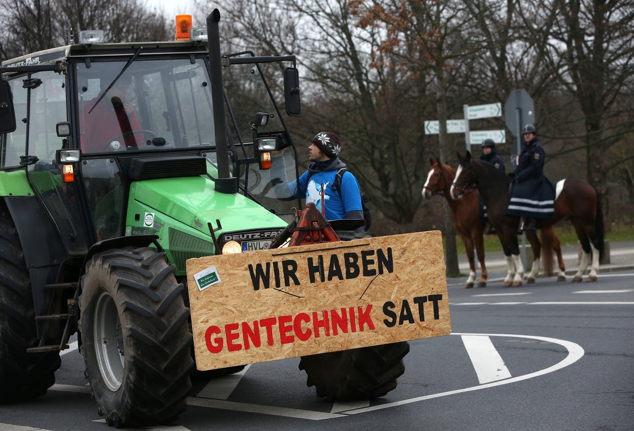 German protest goes hog wild