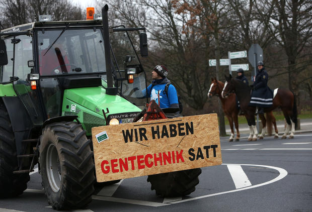 German pig protest 