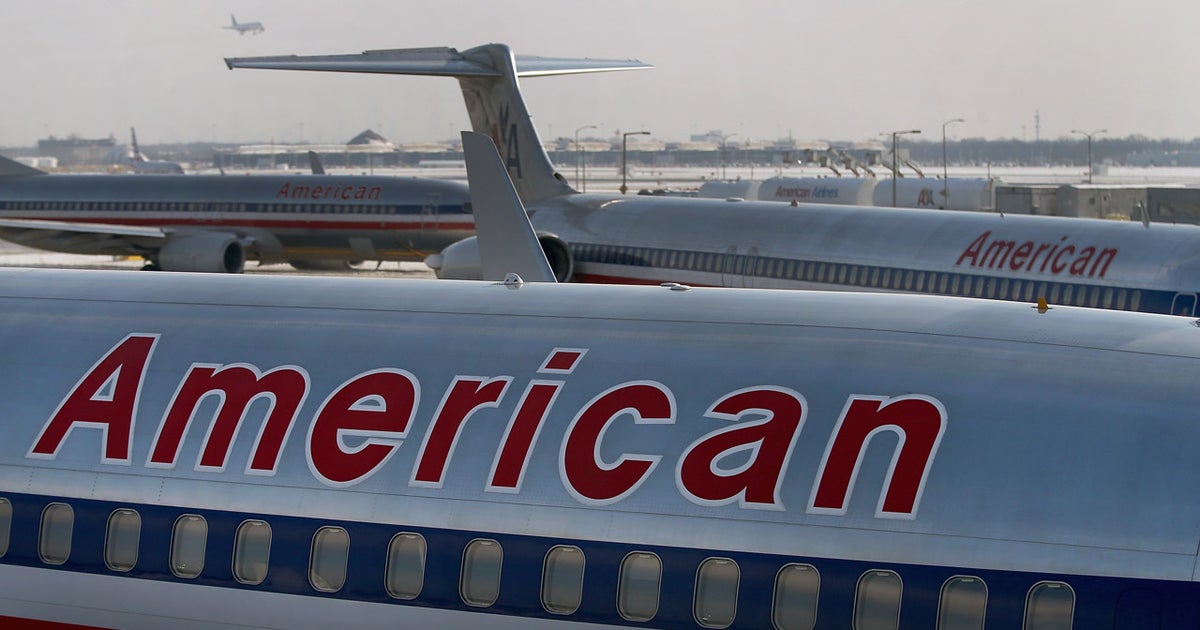 Suing American Airlines | Mother sues American Airlines after losing ...