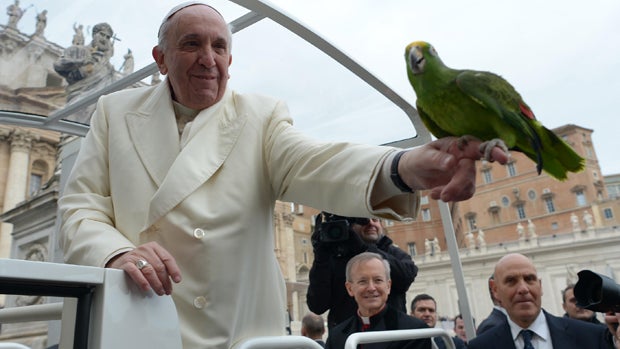 Pope Francis holds a green parrot named Amore that was offered to him by his owner, Francesco Lombardi, during his weekly general audience in St. Peter Square at the Vatican Jan. 29, 2014, in this picture provided by the Vatican newspaper L'Osservatore Ro 