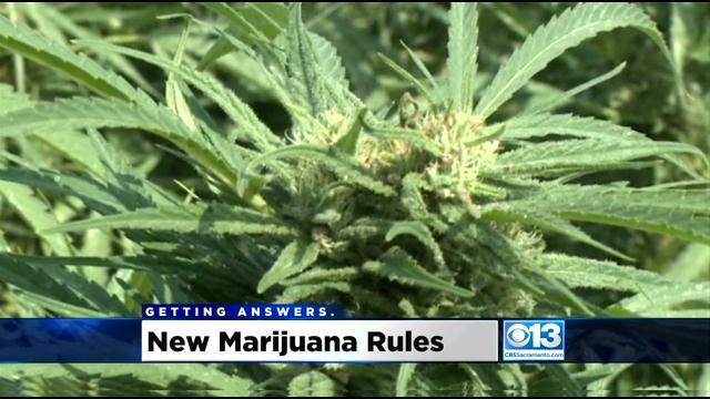 new-marijuana-laws.jpg 