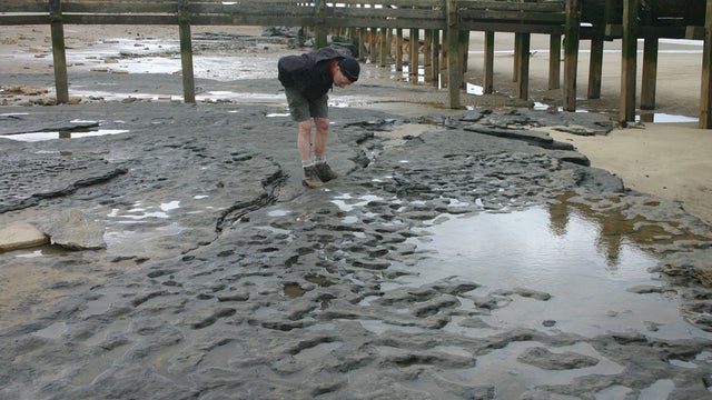 800,000-year-old footprint hollows left by Homo antecessor, or "pioneer man," found on the beach in Happisburgh, Norfolk, in eastern England 