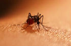 health-1022-mosquitoes-1280x960.jpg 