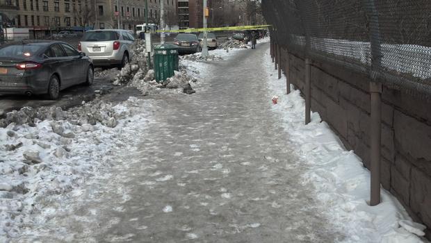 Icy Bronx Walkway 