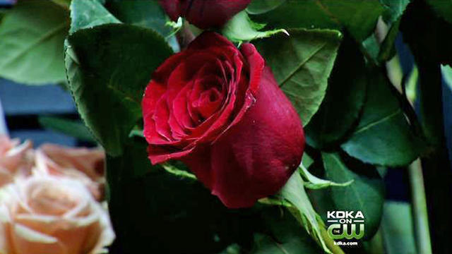 rose_valentines.jpg 