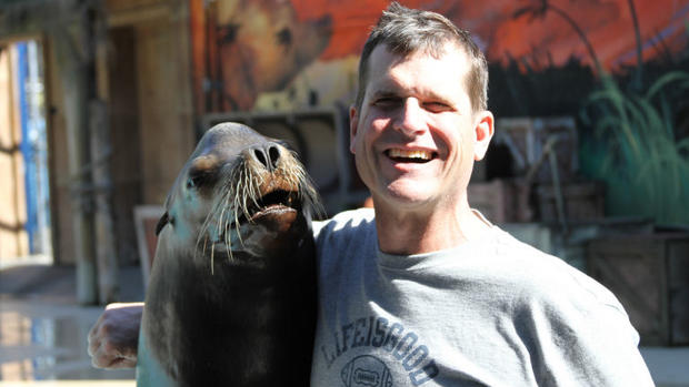 Harbaugh Six Flags 