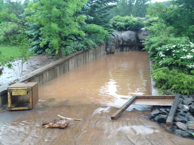 Lake Superior Zoo Flooding 