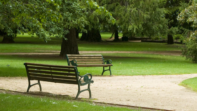 park-bench.jpg 