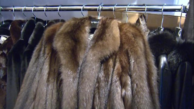 stolen-fur-coats.jpg 