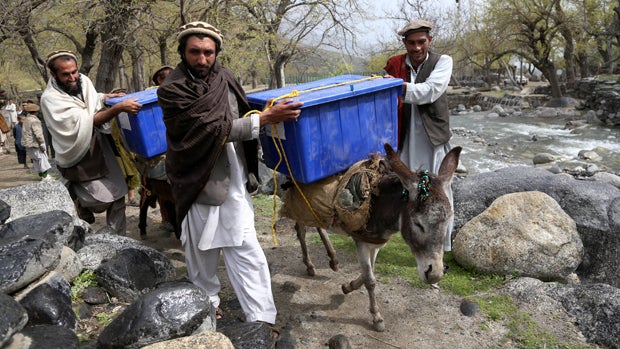 afghanistan-elections-donkey.jpg 