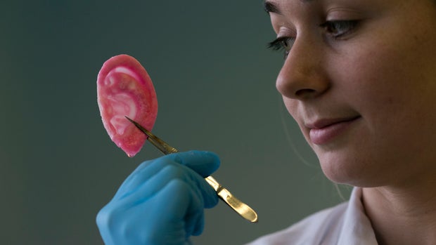 London scientists grow noses and ears