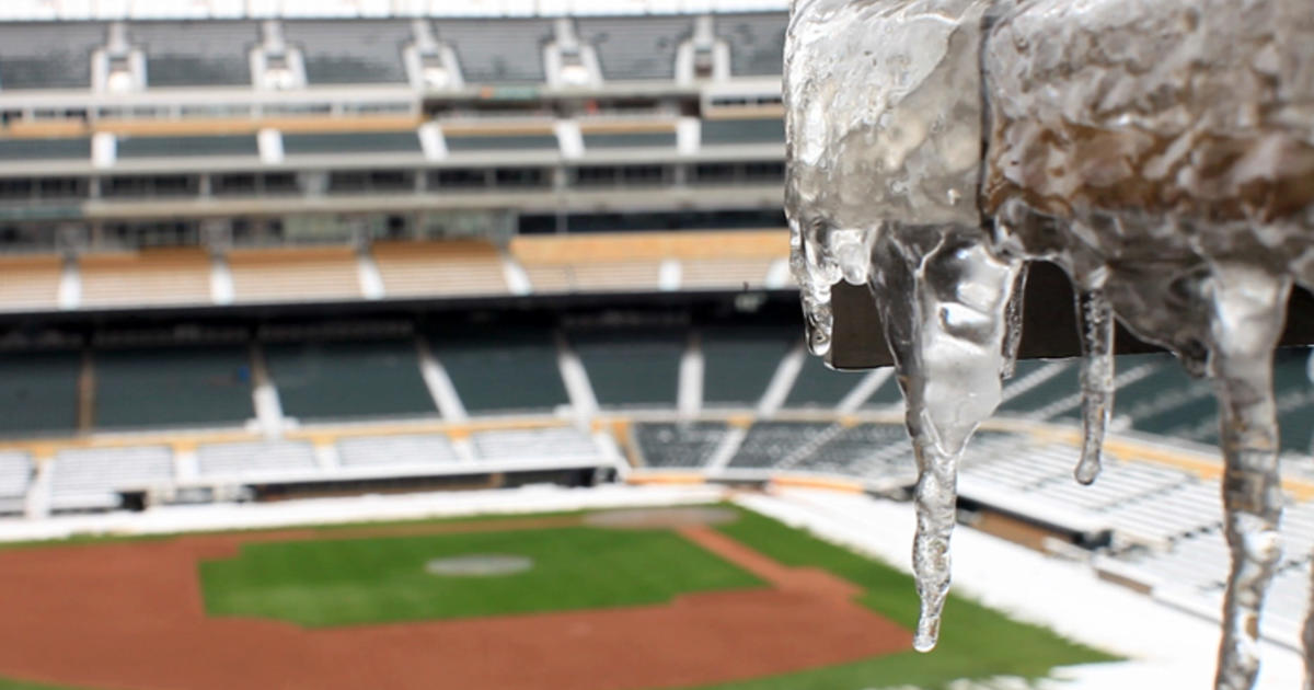 Twins Blog: A New Look On The Field - CBS Minnesota