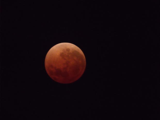 lunar-eclipse-plymouth-vincent-ijioma.jpg 