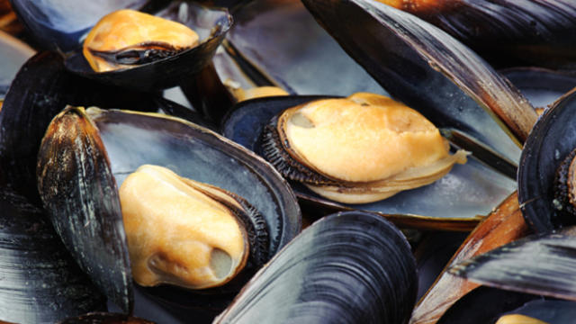 mussels-000015854961-620x350.jpg 