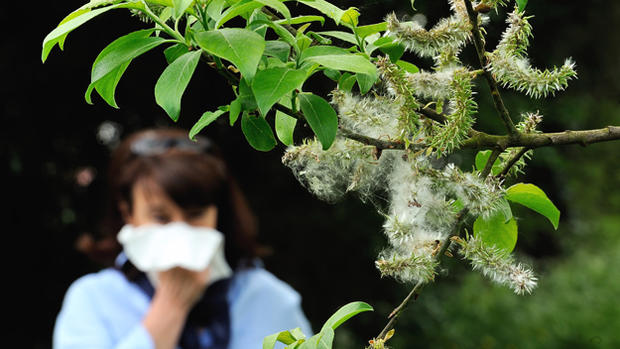 Allergies generic tree pollen 