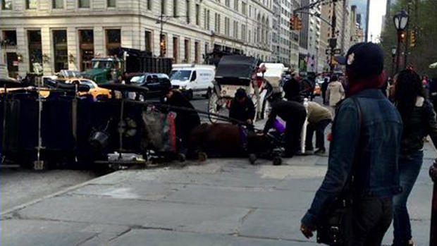 Horse Carriage Accident Near Plaza Hotel 