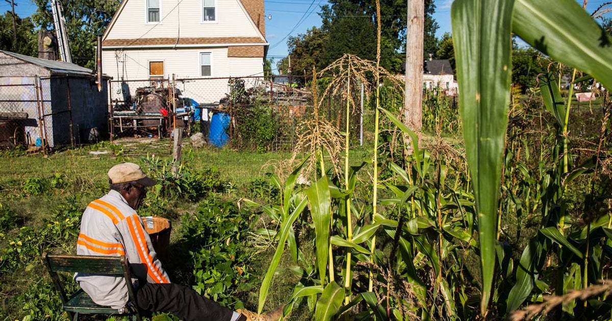 Detroit suburb selling vacant lots for 1 CBS News