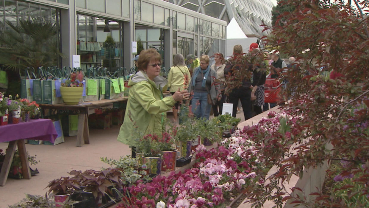 Get Ready For Spring With Denver Botanic Gardens Plant Sale CBS Colorado