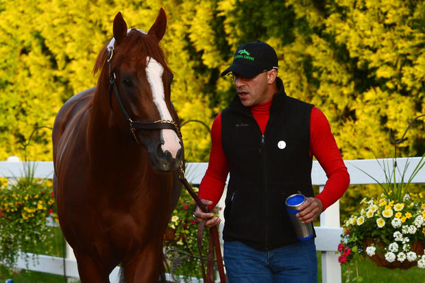Exercise rider William Delgado walks California Chrome through the barn before the 139th Preakness Stakes at Pimlico Race Course in Baltimore May 17, 2014. 
