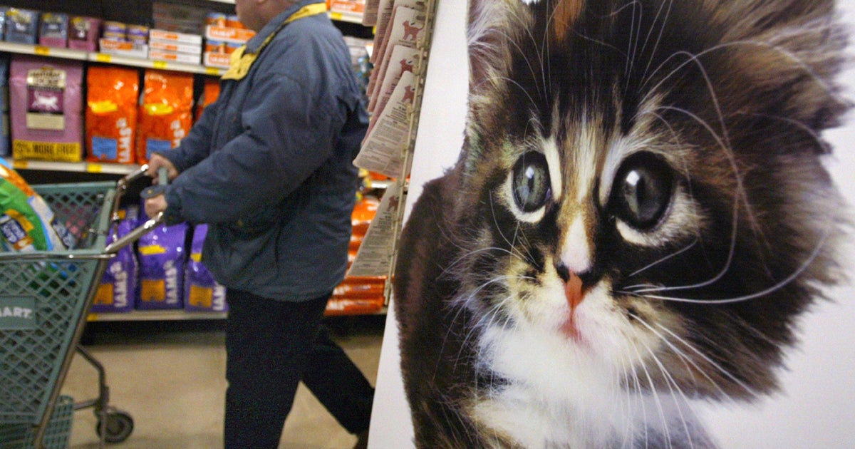 PetSmart to stop selling pet treats made in China CBS News