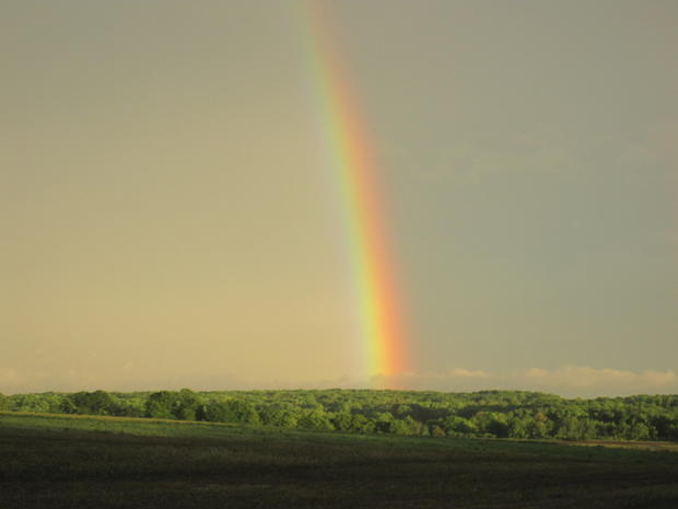 swanville-rainbow-grace-schultz.jpg 