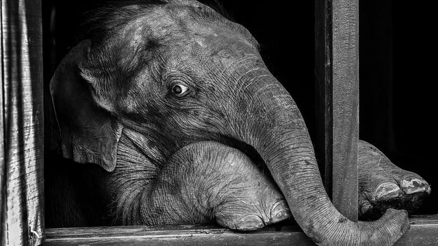 Julia Cumes/National Geographic Your Shot 