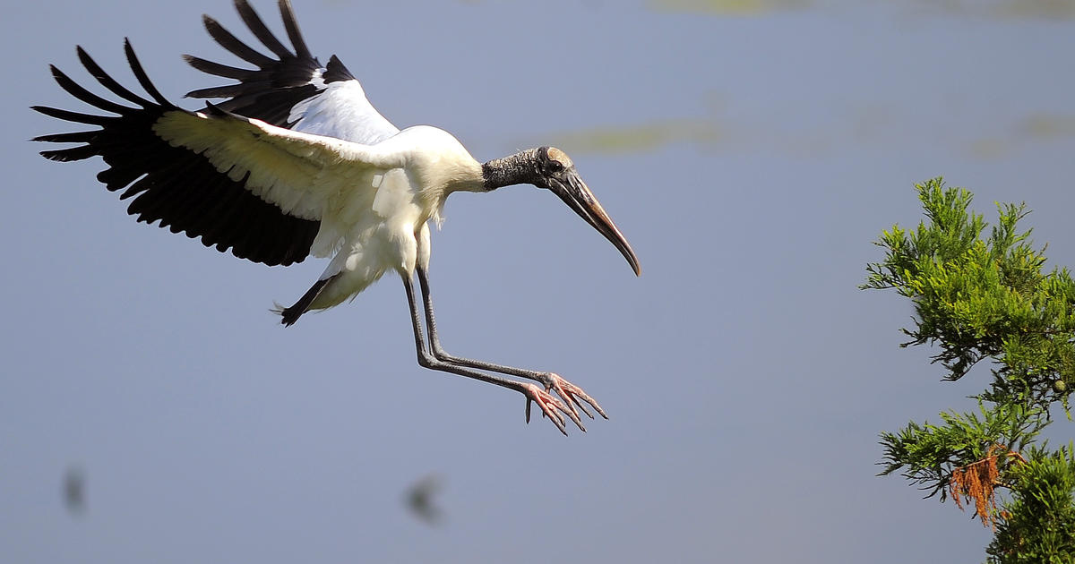 Stork Sports Partners Project – Winning Together – Stork Sports