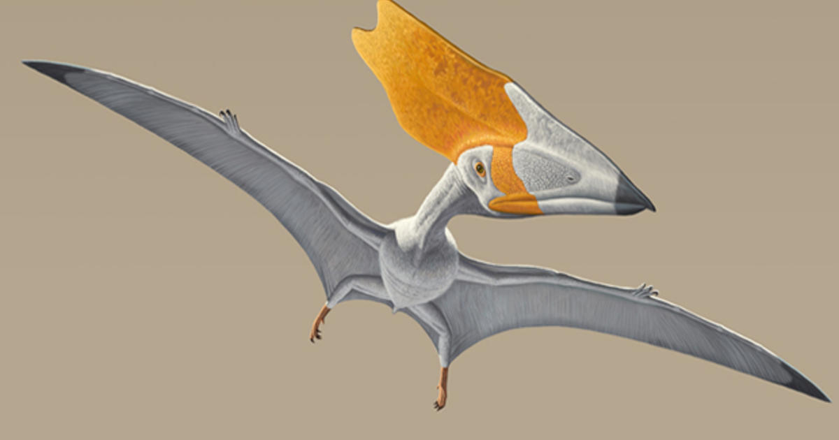 Google Earth now shows where ancient pterosaurs once lived CBS News