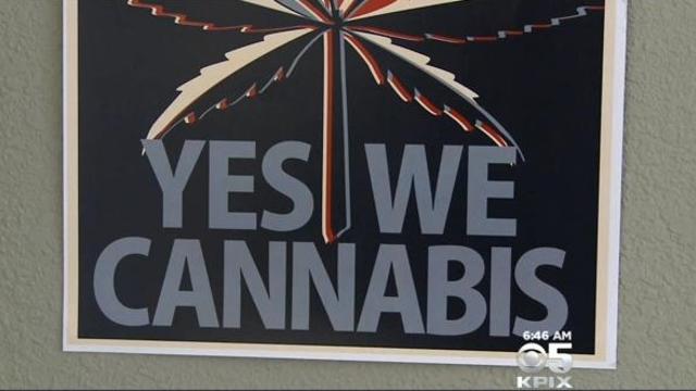 yes-we-cannabis2.jpg 