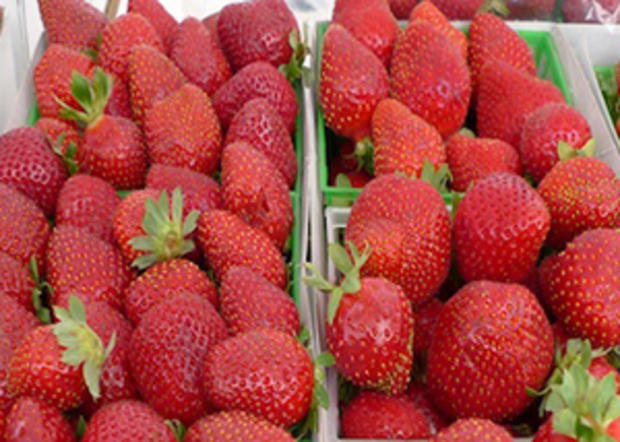 mcgrath-strawberries-header 