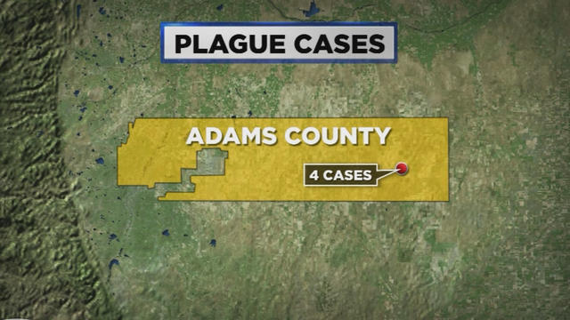 plague-cases-map.jpg 