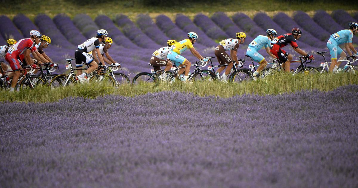 Tour De France Scenery