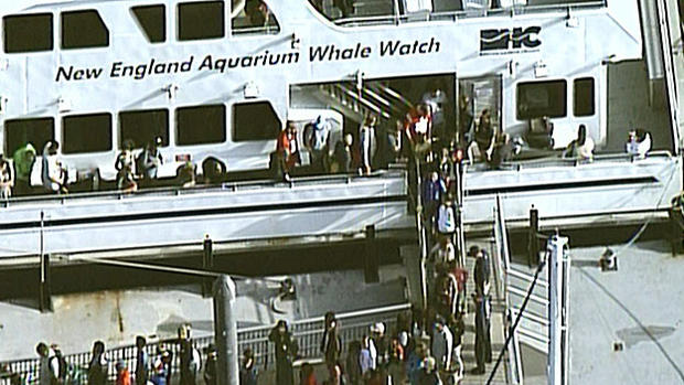 whale-watch-passengers-get-off-boat 