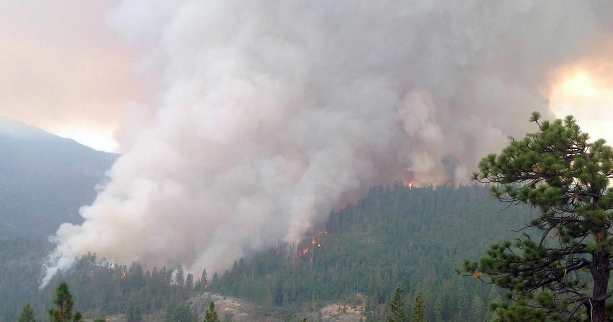 Yosemite National Park wildfire in California weakens after big gains ...