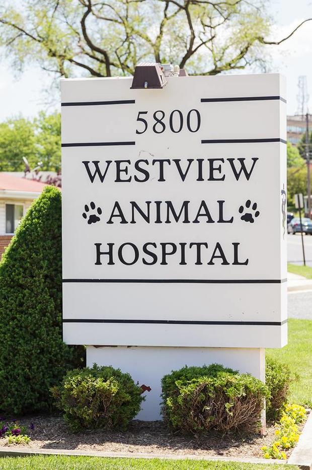 Westview Animal Hospital 