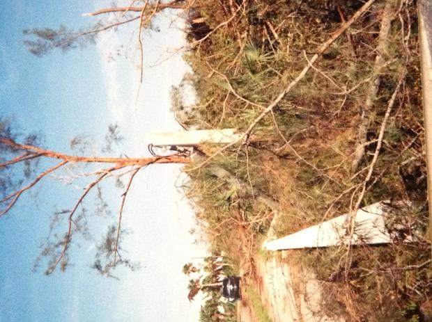 hurricane-charley-pine-island-tree-damage.jpg 