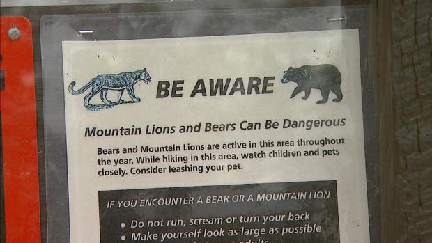 BOULDER BEARS  bear warning 