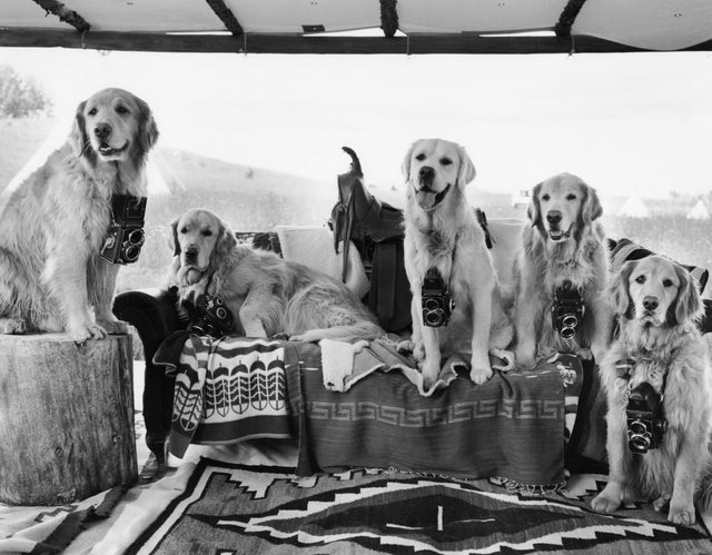Bruce Weber, iconic photographer, focuses on Detroit pet project