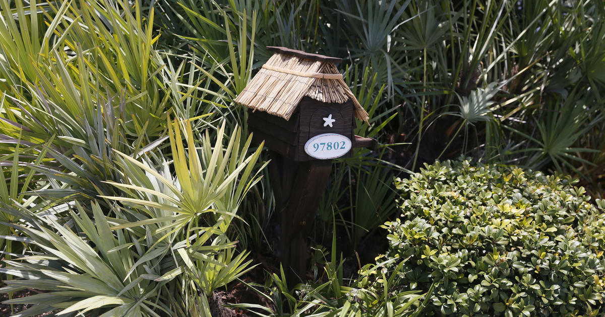 Mailboxes of the Florida keys