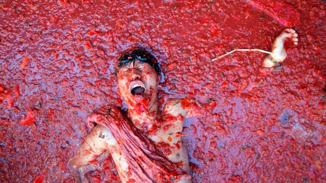 Giant tomato fight erupts in Spain 