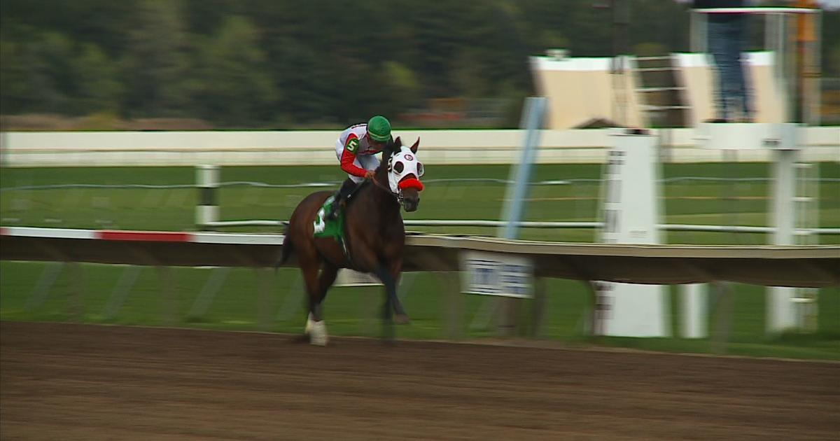 Canterbury Park Cancels Thursday Racing Due To Extreme Heat CBS Minnesota