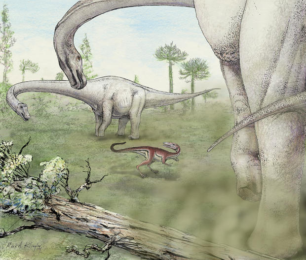 artist-rendering-1-klingler-dreadnoughtus-reconstruction.jpg 