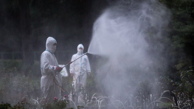  Workers spray pesticide in Yoyogi Park 